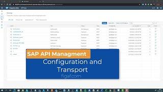 SAP API management transport process