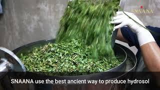 HOW IS LEMONGRASS HYDROSOL [WATER/ARK] MADE AT SNAANA