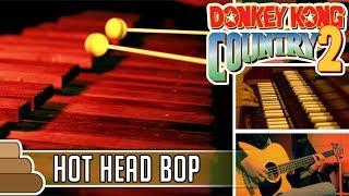 David Wise - Hot Head Bop [Donkey Kong Country 2]