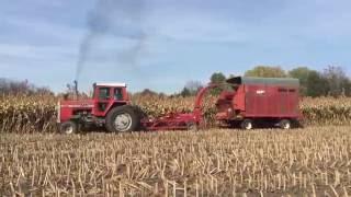 Forage Sorghum Silage (Certified Organic)