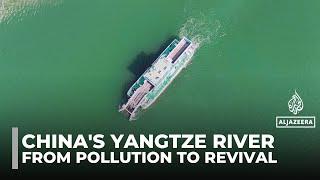 Yangtze River revival: How China is cleaning its 'mother river'