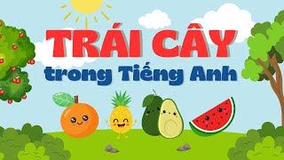 Học từ vựng Trái Cây trong Tiếng Anh | Dạy bé từ vựng Tiếng Anh về trái cây | Fruits in English