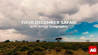 December safaris – beaches & lush bushveld