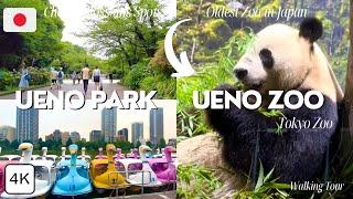 Ueno Park & Zoo in Tokyo 2023 (Full Tour) | Japan Travel Vlog | 4K Japan Walk