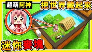 Minecraft 螞蟻の小世界【你的按鈕我來藏】!! 把整個世界【裝進箱子裡】最後一個【100%絕對找不到】!! 全字幕