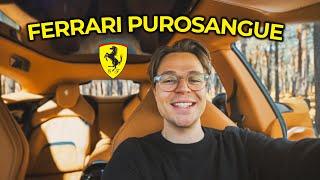 ÄR DEN VÄRD 10 MILJONER?? FERRARI PUROSANGUE