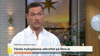 Därför drabbas unga personer särskilt svårt av mykoplasma | Nyhetsmorgon | TV4 & TV4 Play