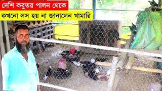 দেশি কবুতর পালন থেকে কখনো লস হয় না জানালেন এই খামারি | কবুতর পালন পদ্ধতি | Pigeon Farm In Bangladesh