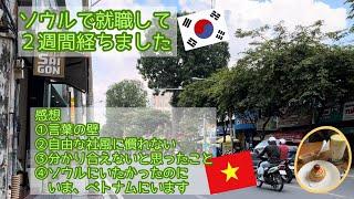 ソウルで就職して２週間が経ちました/働いてみての感想①言葉の壁 ②自由な社風に慣れない ③分かり合えないと思ったこと ④ソウルにいたくてソウルで就職したけど、今、ベトナムにいます！