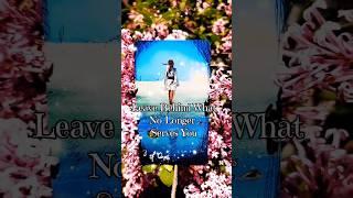 ️These Are Your Messages!  Major Breakthrough #tarot #tarotreading  #selfcare