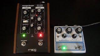 Moog Moogerfooger MF 104-M vs. DOD Rubberneck - Analog Delay Comparison