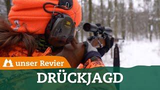 uJ-Gewinner auf Drückjagd im Testrevier | unser Revier | #53