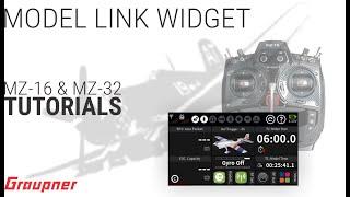 Model Link Widget