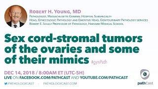 Sex cord-stromal tumors of the ovaries and some of their mimics - Dr. Young (MGH) #GYNPATH