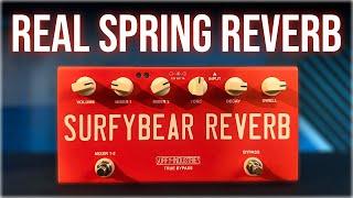 REAL Spring Reverb! Surfy Industries Surfybear Compact