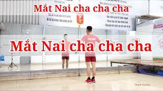 nhảy cùng hướng Mắt Nai Cha Cha Cha khiêu vũ dance sport