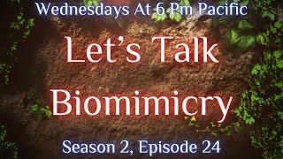 Gardens The Untold Story: Let’s Talk Biomimicry