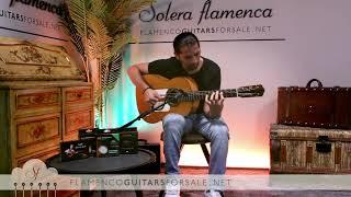 Domingo Esteso 1932 flamenco guitar for sale played by José Andrés Cortés