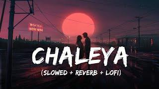 Chaleya - Lofi Mix | Slowed + Reverb | Arijit Singh, Shilpa Rao | Jawan | SRK | SSR Lofi