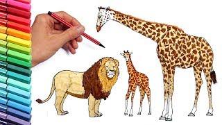 How to Draw Wild African Animals Elephant Lion Giraffe Color Pages for Childrens