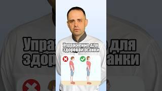 Упражнение для здоровой осанки