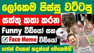 How to Make animal Talking meme video in sinhala | Create animal talking funny videos