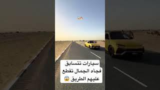 ربك ستر ..