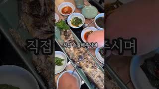 제주에서 가장 큰 통갈치맛집 부모님 모셔가기 최고 #제주도 #맛집 #갈치구이 #제주맛집