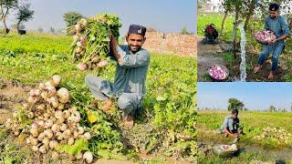 Ghar ki Taza Sabzi  Tayar Ho Gi Alhamdulillah