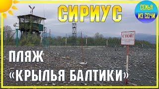 СИРИУС: ДИКИЙ ПЛЯЖ "КРЫЛЬЯ БАЛТИКИ" | Субтропический рай в отдельно взятом городе