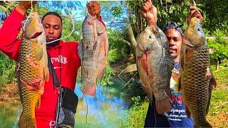 THE BIGGEST TILAPIA N CARPS WE EVER CAUGHT UNDERWORLD CATCH  SELL COOK