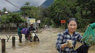 Heavy rain - catching frogs in the field. Kind man helps Linh Ca