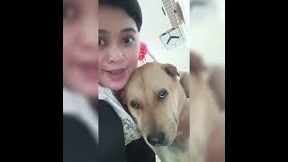 SAINEM DIGIGIT ANJING PEPE KARENA NGAK MAU NANGKAPIN CECAK BUAT MAINAN HADUEG??