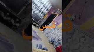 ٢٠ أبريل ٢٠٢٥