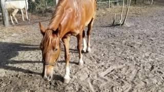 Jonsey happy after his massage