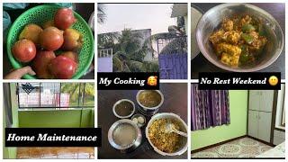 Vlog 64 || Weekend routine ‍️|| Home Maintenance n Cleaning 🪣|| Sunday special Lunch #DIML