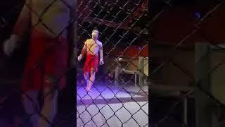 Али Чоршанбиев ворвался в поп-мма