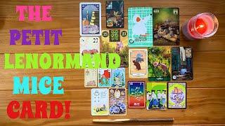 Everything you need to know about the Petit Lenormand Mice Card!