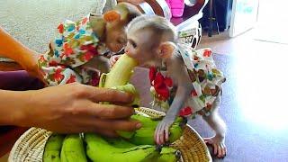 Jeez.. Foodie JULIE Trying Big Piece Over A Ripe Banana.