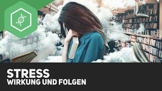 Stress - Wirkung und Folgen