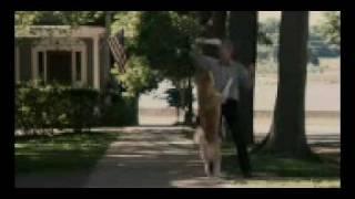 Hachiko.A Dogs Story.2010.Dvdrip-3.mp4