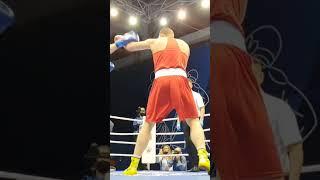 Referi stop contest Bahodir Jalolov / Бахожир Джалолов нокдаун #бокс #boxing #knockdown #boxeo