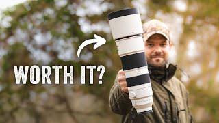 The ALL-IN-ONE wildlife lens | Sony 200-600mm G OSS