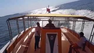 STARK 45 Boat trip, dive boat, commercial boat (Mercan Yachting)