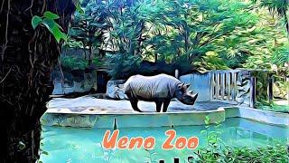 Ueno Zoo -Tokyo - Japan