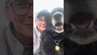 Волкособ Гул’дан 