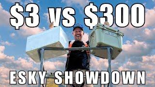 $3 vs $300 ESKY TEST | WHICH ONE IS BEST?
