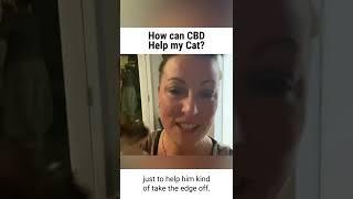 How can CBD Help my Cat?