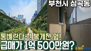 [부천빌라매매](no679)심곡천을 누리자~ 부천역 신중동역 더블 역세권 방2개 대형 통베란다 1억 초반 급매빌라![심곡동빌라]