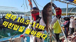 #삼길포항#바다좌대낚시 #백년좌대 #생활낚시 #낚시 #서해바다낚시#좌대낚시#fishing